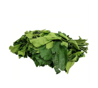 Ugwu